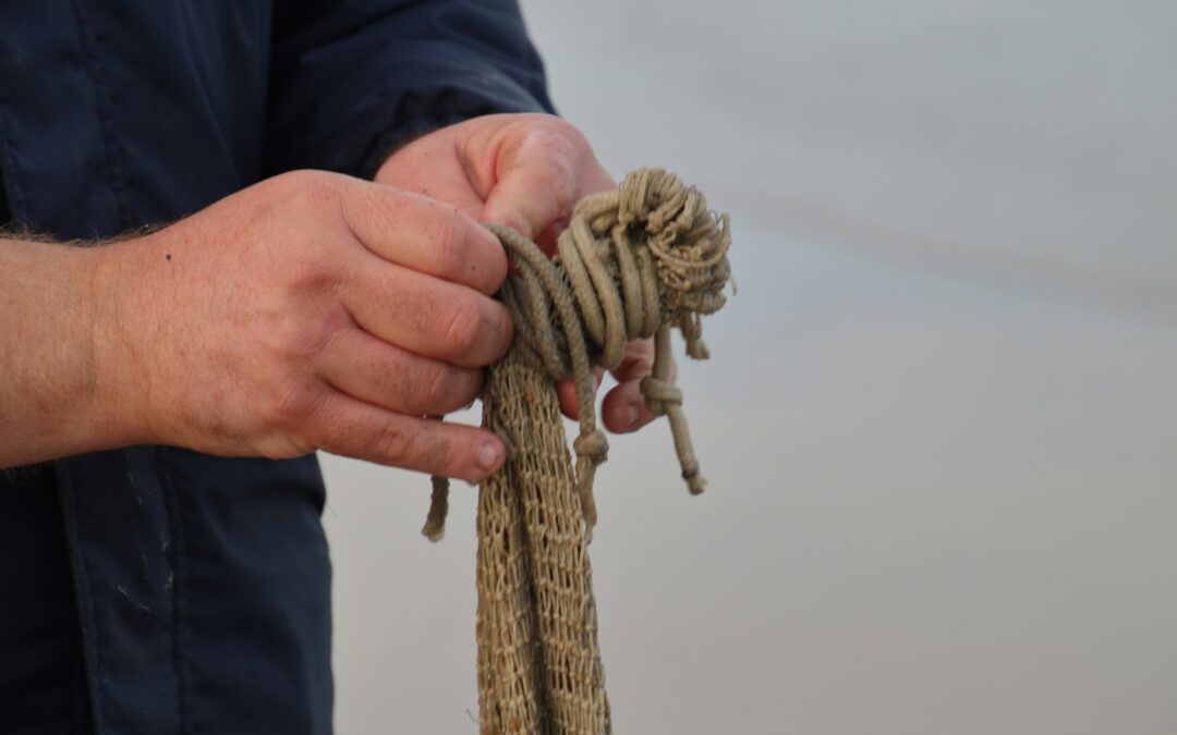 Symbolbild für Intensivcoaching – Knoten lösen und Klarheit finden