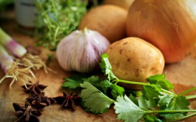 Funktionelle Ernährung und Psyche – warum Ernährung mehr ist als Kalorienzufuhr