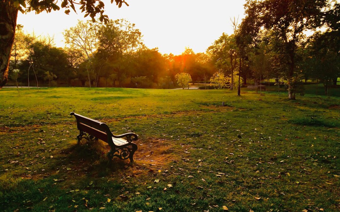 Leere Parkbank bei Sonnenuntergang – Symbol für Ruhe, Rückzug und neue Perspektiven beim Umgang mit Tinnitus.